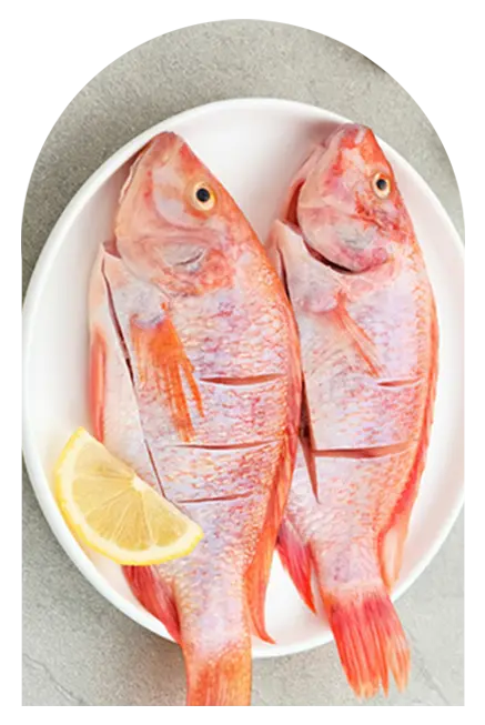 อาหารทะเล