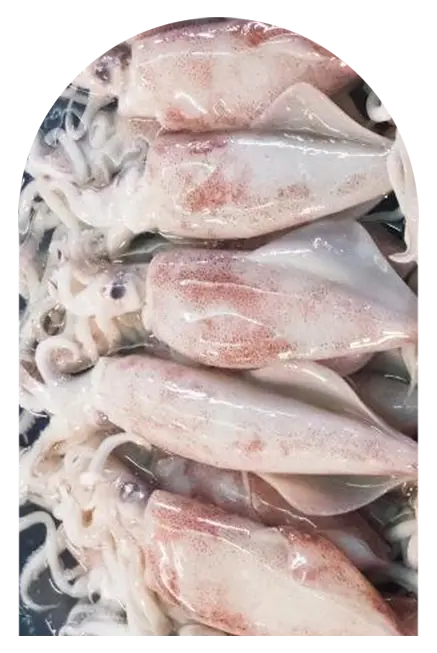 อ